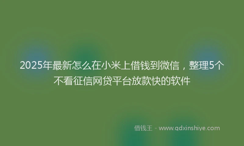 2025年最新怎么在小米上借钱到微信，整理5个不看征信网贷平台放款快的软件