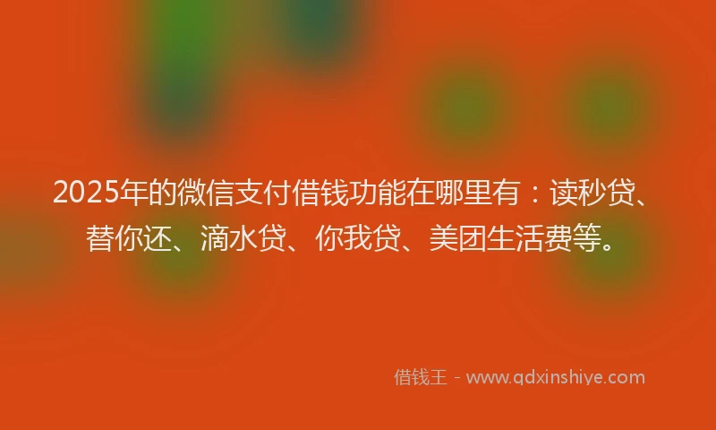 2025年的微信支付借钱功能在哪里有：读秒贷、替你还、滴水贷、你我贷、美团生活费等。