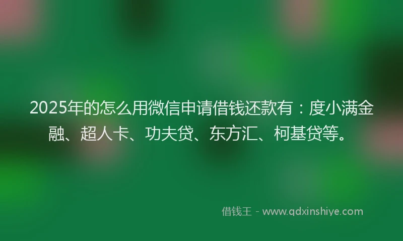 2025年的怎么用微信申请借钱还款有：度小满金融、超人卡、功夫贷、东方汇、柯基贷等。