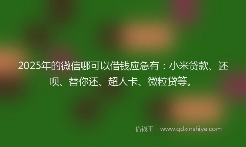 2025年的微信哪可以借钱应急有：小米贷款、还呗、替你还、超人卡、微粒贷等。