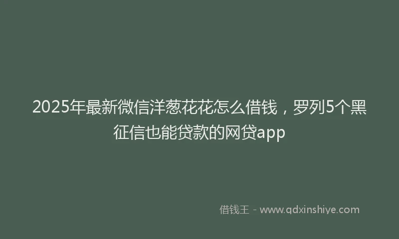 2025年最新微信洋葱花花怎么借钱，罗列5个黑征信也能贷款的网贷app