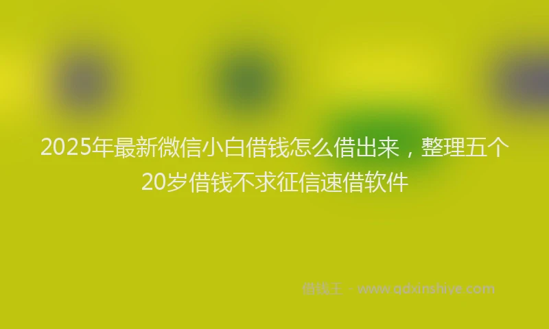 2025年最新微信小白借钱怎么借出来，整理五个20岁借钱不求征信速借软件