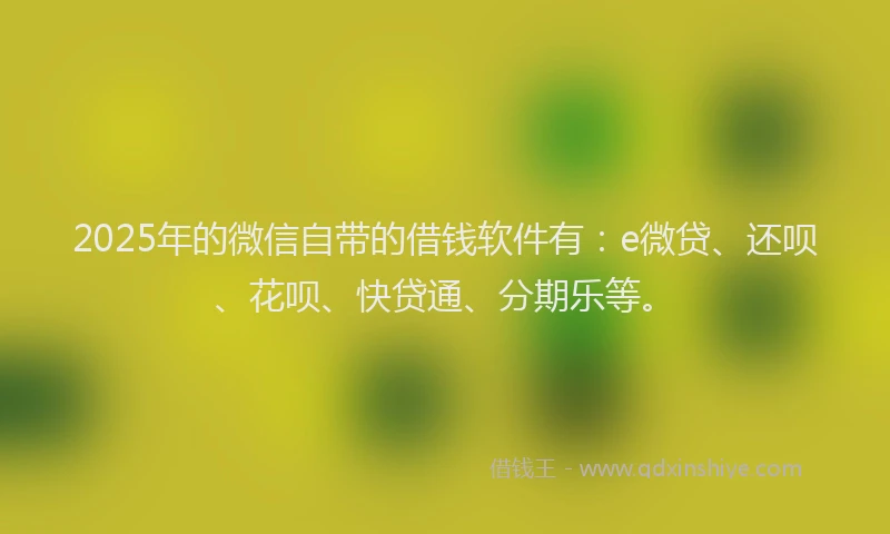 2025年的微信自带的借钱软件有：e微贷、还呗、花呗、快贷通、分期乐等。