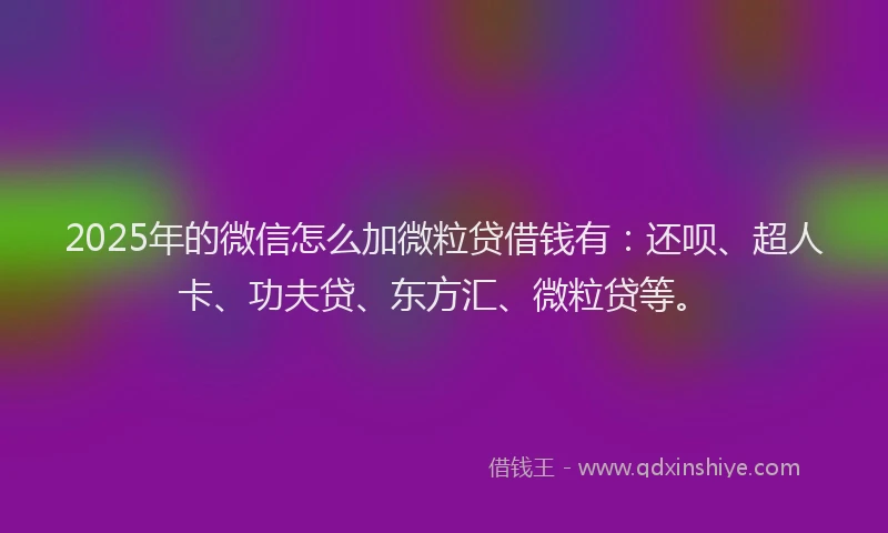 2025年的微信怎么加微粒贷借钱有：还呗、超人卡、功夫贷、东方汇、微粒贷等。