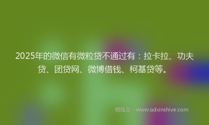 2025年的微信有微粒贷不通过有：拉卡拉、功夫贷、团贷网、微博借钱、柯基贷等。