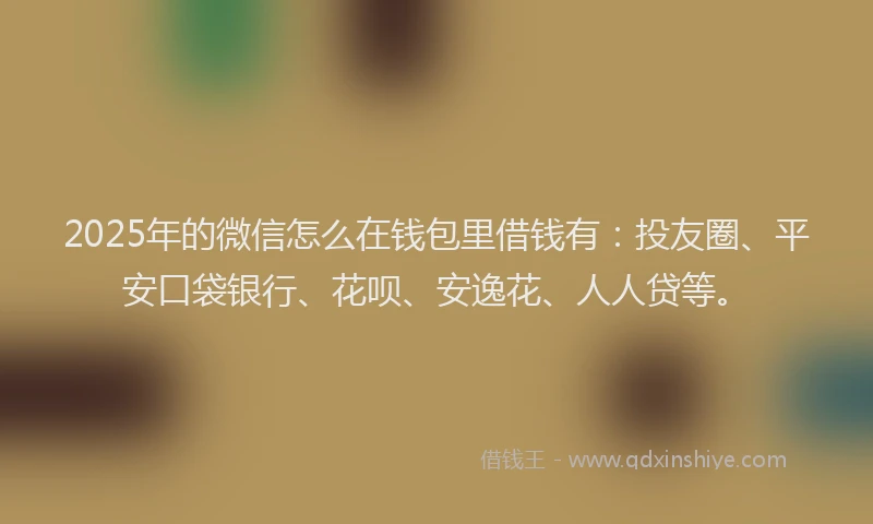 2025年的微信怎么在钱包里借钱有：投友圈、平安口袋银行、花呗、安逸花、人人贷等。