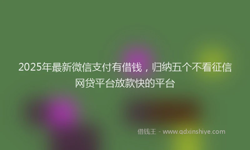 2025年最新微信支付有借钱，归纳五个不看征信网贷平台放款快的平台