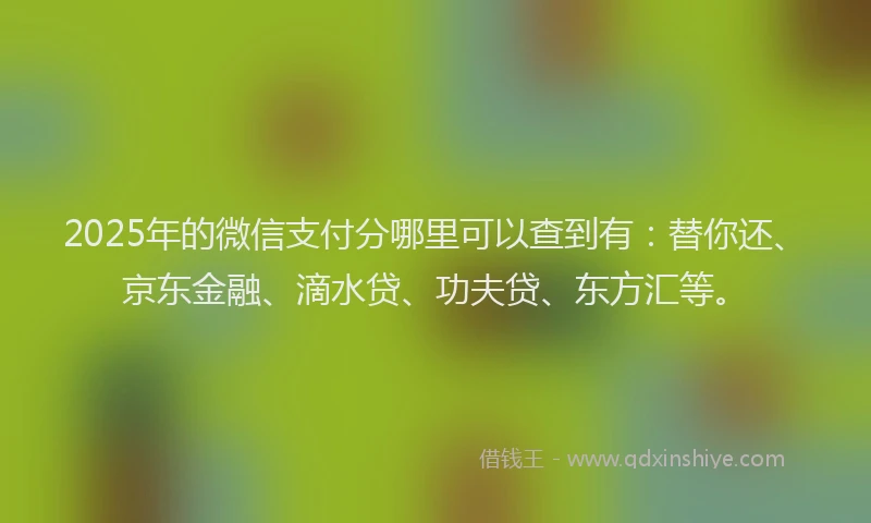 2025年的微信支付分哪里可以查到有：替你还、京东金融、滴水贷、功夫贷、东方汇等。