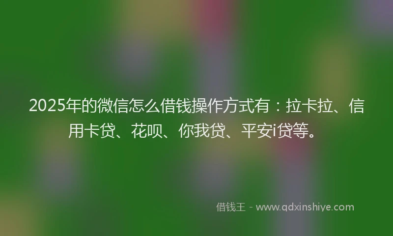 2025年的微信怎么借钱操作方式有：拉卡拉、信用卡贷、花呗、你我贷、平安i贷等。