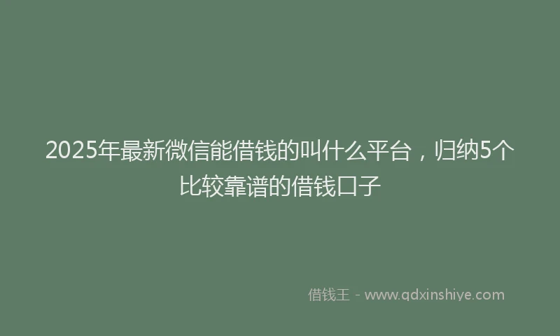 2025年最新微信能借钱的叫什么平台，归纳5个比较靠谱的借钱口子