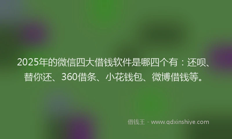 2025年的微信四大借钱软件是哪四个有：还呗、替你还、360借条、小花钱包、微博借钱等。