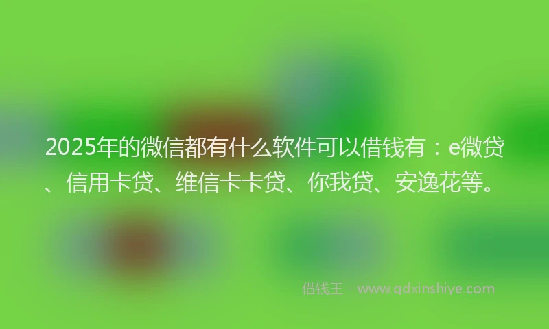 2025年的微信都有什么软件可以借钱有：e微贷、信用卡贷、维信卡卡贷、你我贷、安逸花等。