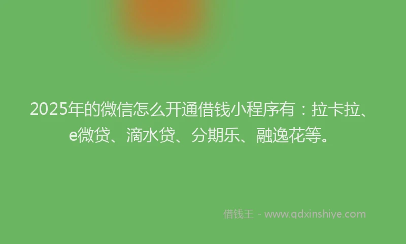 2025年的微信怎么开通借钱小程序有：拉卡拉、e微贷、滴水贷、分期乐、融逸花等。