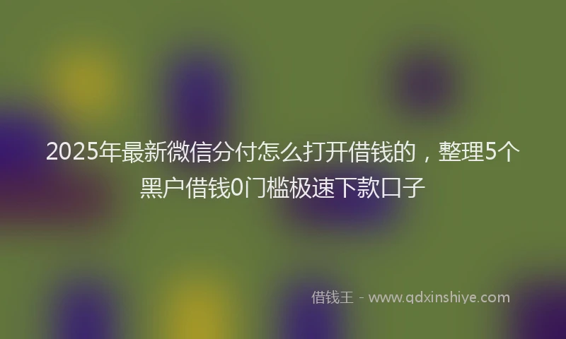 2025年最新微信分付怎么打开借钱的，整理5个黑户借钱0门槛极速下款口子