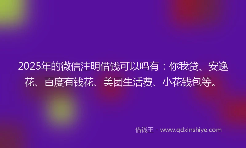 2025年的微信注明借钱可以吗有：你我贷、安逸花、百度有钱花、美团生活费、小花钱包等。