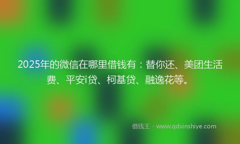 2025年的微信在哪里借钱有：替你还、美团生活费、平安i贷、柯基贷、融逸花等。