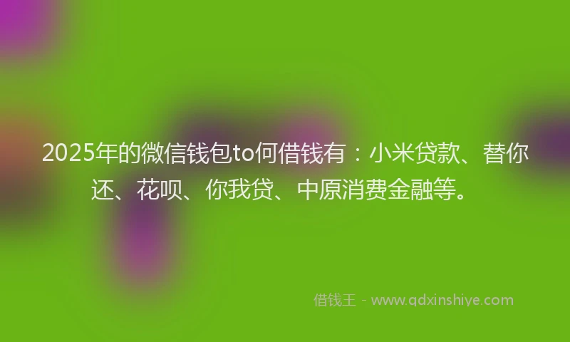 2025年的微信钱包to何借钱有：小米贷款、替你还、花呗、你我贷、中原消费金融等。