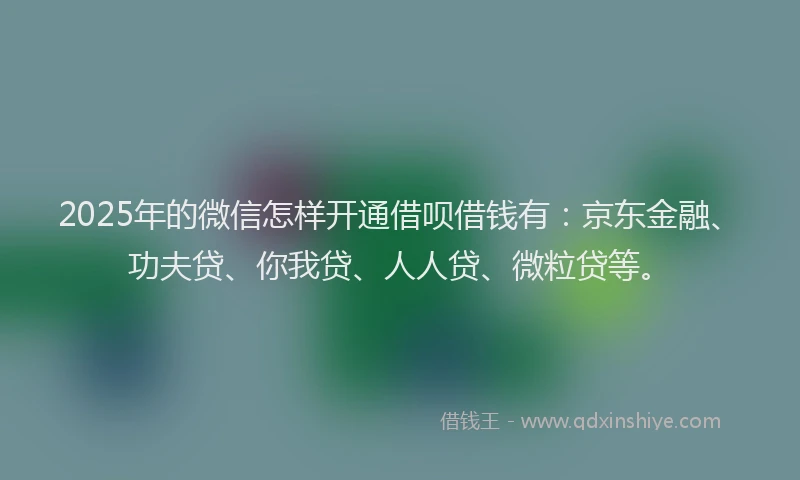 2025年的微信怎样开通借呗借钱有：京东金融、功夫贷、你我贷、人人贷、微粒贷等。