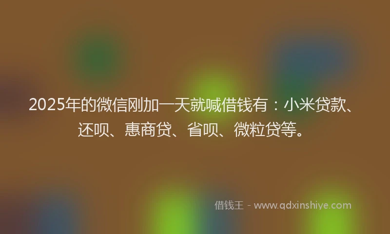 2025年的微信刚加一天就喊借钱有：小米贷款、还呗、惠商贷、省呗、微粒贷等。