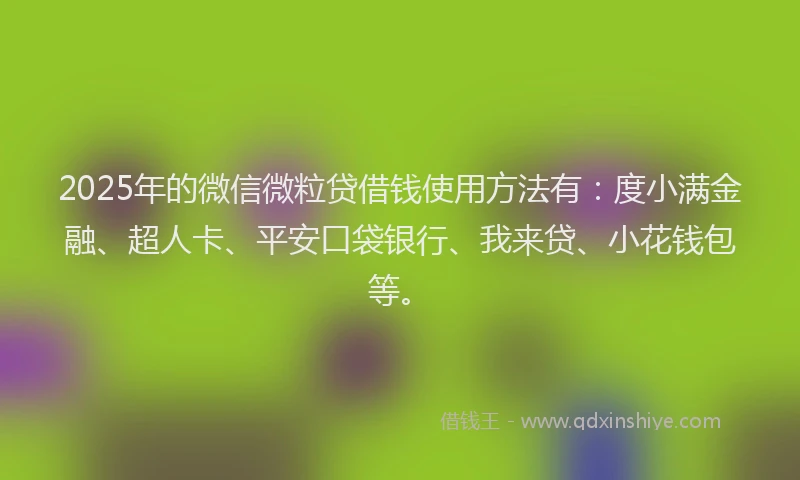 2025年的微信微粒贷借钱使用方法有：度小满金融、超人卡、平安口袋银行、我来贷、小花钱包等。