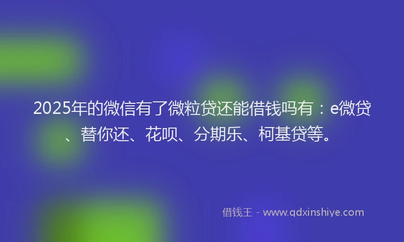 2025年的微信有了微粒贷还能借钱吗有：e微贷、替你还、花呗、分期乐、柯基贷等。