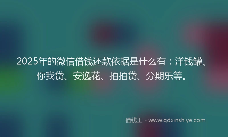 2025年的微信借钱还款依据是什么有：洋钱罐、你我贷、安逸花、拍拍贷、分期乐等。
