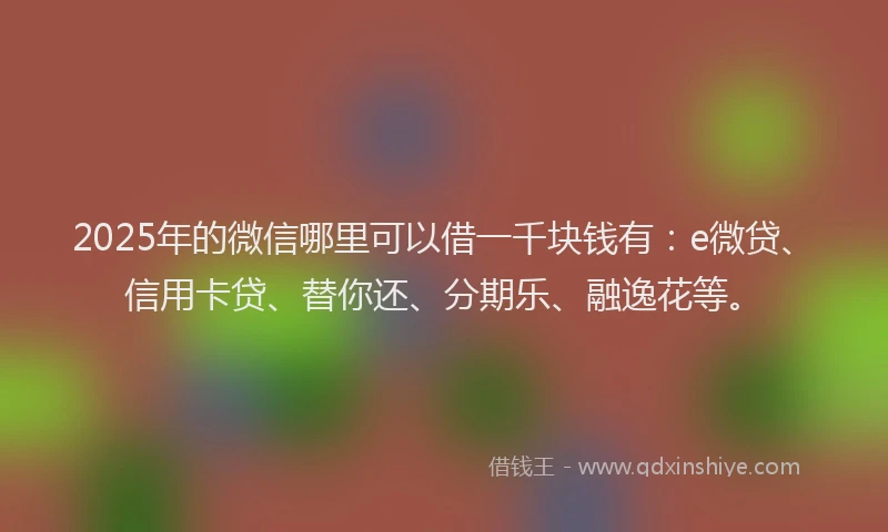 2025年的微信哪里可以借一千块钱有：e微贷、信用卡贷、替你还、分期乐、融逸花等。