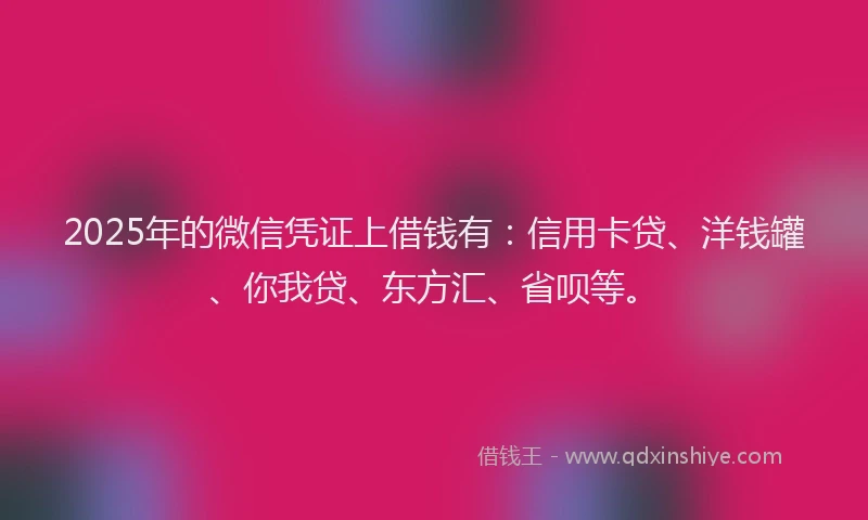 2025年的微信凭证上借钱有：信用卡贷、洋钱罐、你我贷、东方汇、省呗等。