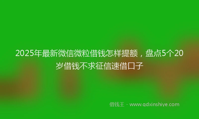 2025年最新微信微粒借钱怎样提额，盘点5个20岁借钱不求征信速借口子