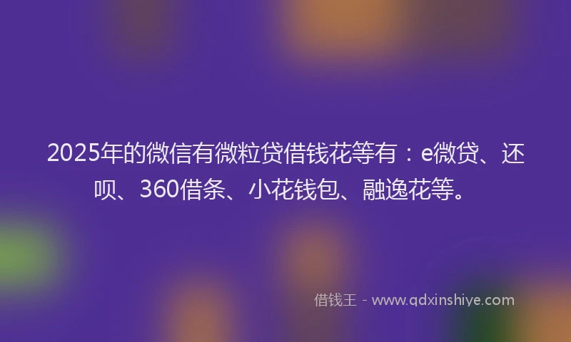 2025年的微信有微粒贷借钱花等有：e微贷、还呗、360借条、小花钱包、融逸花等。