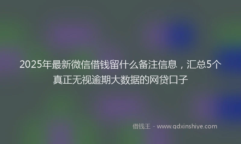 2025年最新微信借钱留什么备注信息，汇总5个真正无视逾期大数据的网贷口子