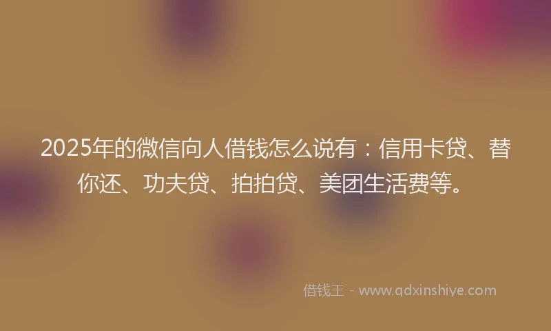 2025年的微信向人借钱怎么说有：信用卡贷、替你还、功夫贷、拍拍贷、美团生活费等。