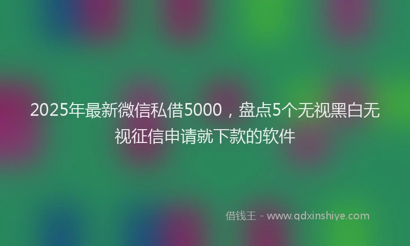2025年最新微信私借5000，盘点5个无视黑白无视征信申请就下款的软件