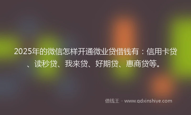 2025年的微信怎样开通微业贷借钱有：信用卡贷、读秒贷、我来贷、好期贷、惠商贷等。