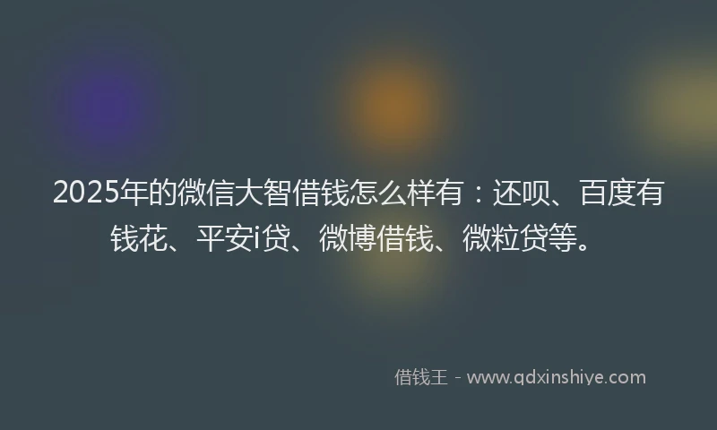2025年的微信大智借钱怎么样有：还呗、百度有钱花、平安i贷、微博借钱、微粒贷等。