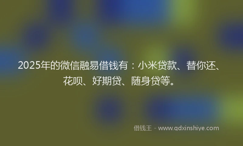 2025年的微信融易借钱有：小米贷款、替你还、花呗、好期贷、随身贷等。