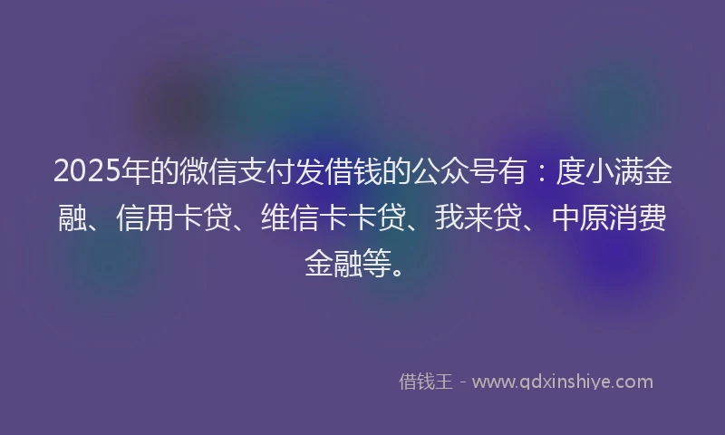 2025年的微信支付发借钱的公众号有：度小满金融、信用卡贷、维信卡卡贷、我来贷、中原消费金融等。
