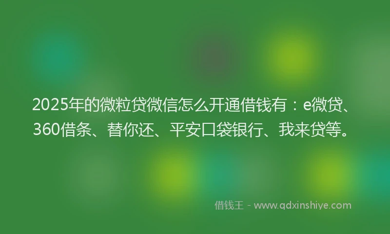 2025年的微粒贷微信怎么开通借钱有：e微贷、360借条、替你还、平安口袋银行、我来贷等。
