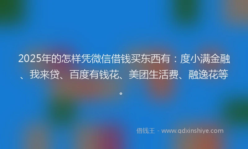 2025年的怎样凭微信借钱买东西有：度小满金融、我来贷、百度有钱花、美团生活费、融逸花等。