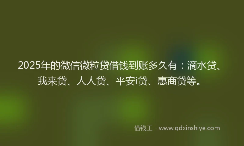 2025年的微信微粒贷借钱到账多久有：滴水贷、我来贷、人人贷、平安i贷、惠商贷等。