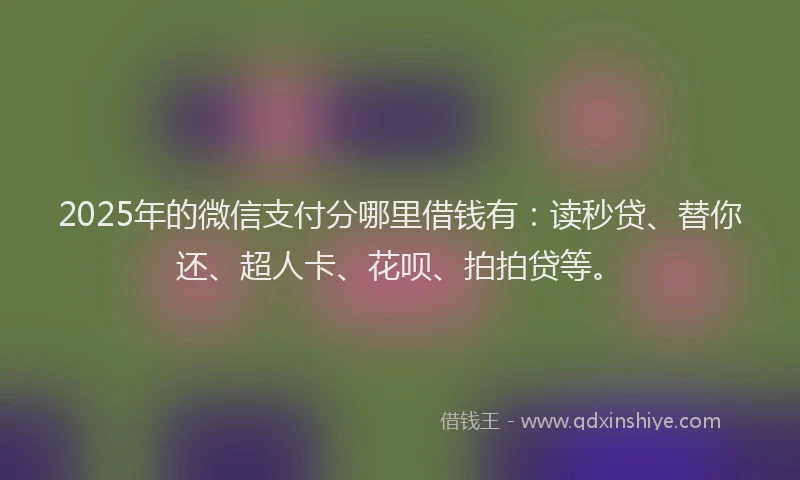 2025年的微信支付分哪里借钱有：读秒贷、替你还、超人卡、花呗、拍拍贷等。