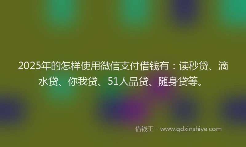 2025年的怎样使用微信支付借钱有：读秒贷、滴水贷、你我贷、51人品贷、随身贷等。