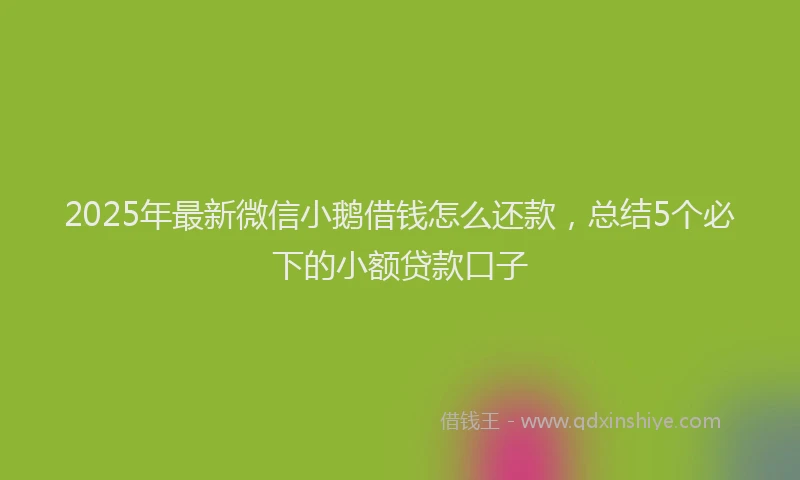 2025年最新微信小鹅借钱怎么还款，总结5个必下的小额贷款口子