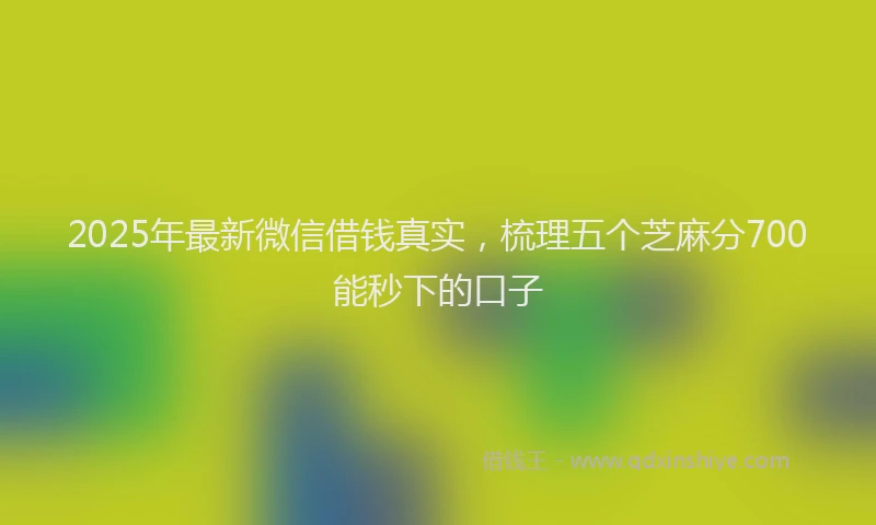 2025年最新微信借钱真实，梳理五个芝麻分700能秒下的口子