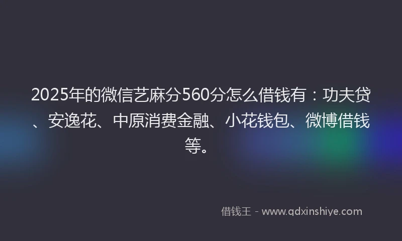 2025年的微信艺麻分560分怎么借钱有：功夫贷、安逸花、中原消费金融、小花钱包、微博借钱等。