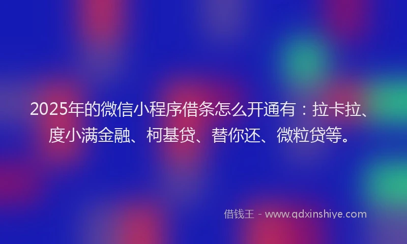 2025年的微信小程序借条怎么开通有：拉卡拉、度小满金融、柯基贷、替你还、微粒贷等。