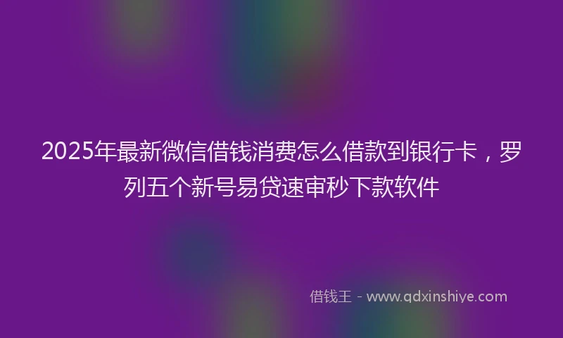 2025年最新微信借钱消费怎么借款到银行卡，罗列五个新号易贷速审秒下款软件