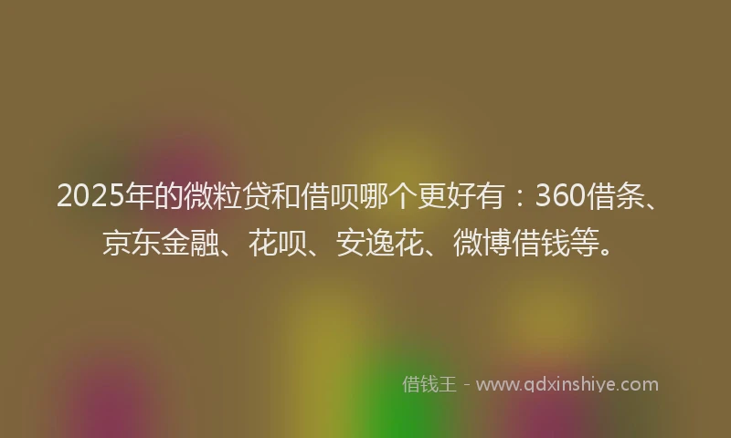 2025年的微粒贷和借呗哪个更好有：360借条、京东金融、花呗、安逸花、微博借钱等。