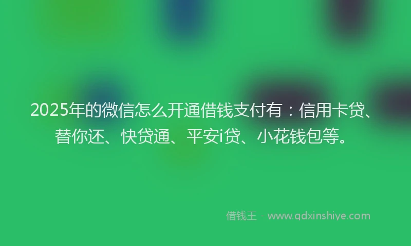 2025年的微信怎么开通借钱支付有：信用卡贷、替你还、快贷通、平安i贷、小花钱包等。