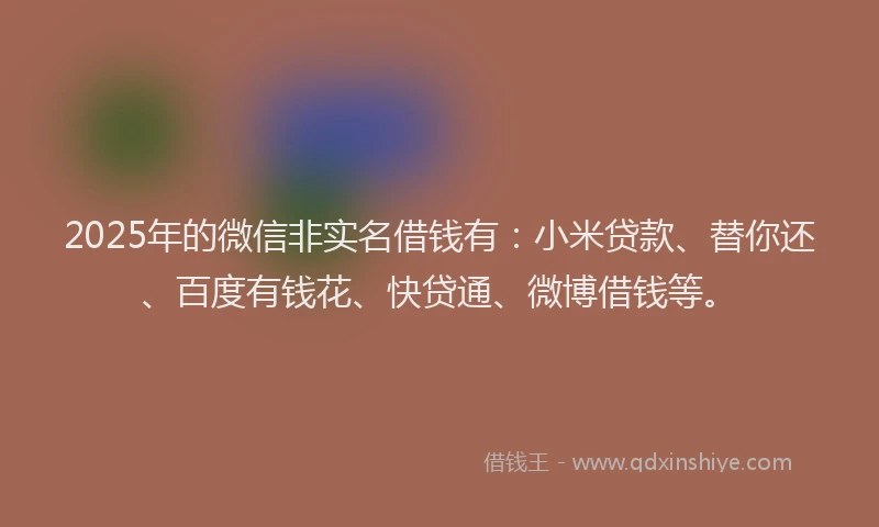 2025年的微信非实名借钱有：小米贷款、替你还、百度有钱花、快贷通、微博借钱等。